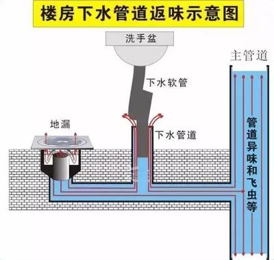 告别厨卫臭味？先从读懂地漏开始！
